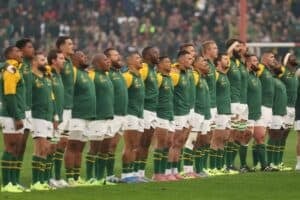 Springbok players