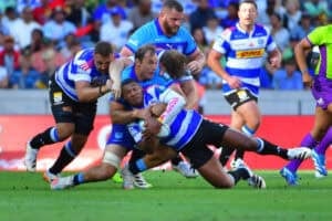 Stormers Bulls Damian Willemse