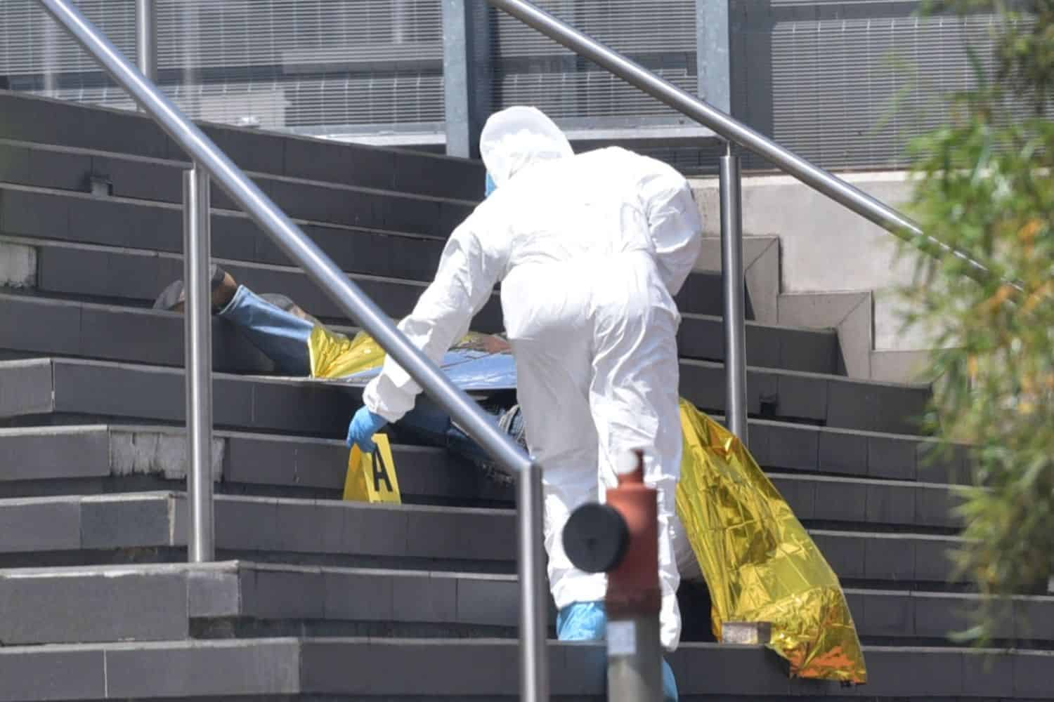 ICYMI 20 January 2026