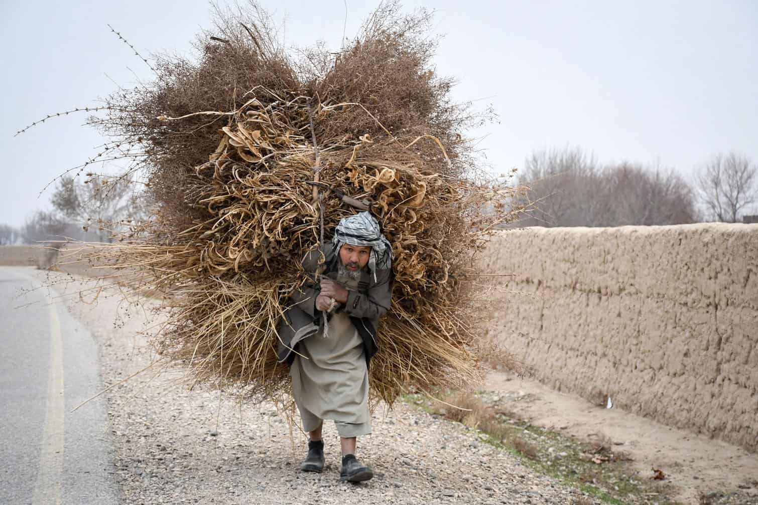 An Afghan man