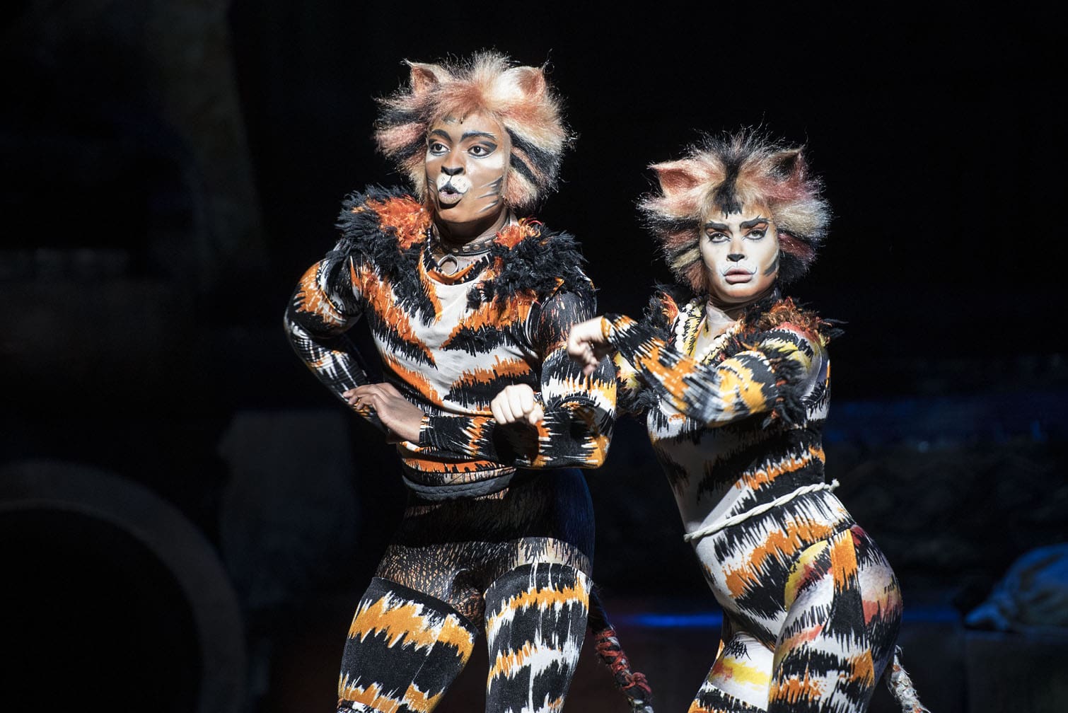 CATS the musical