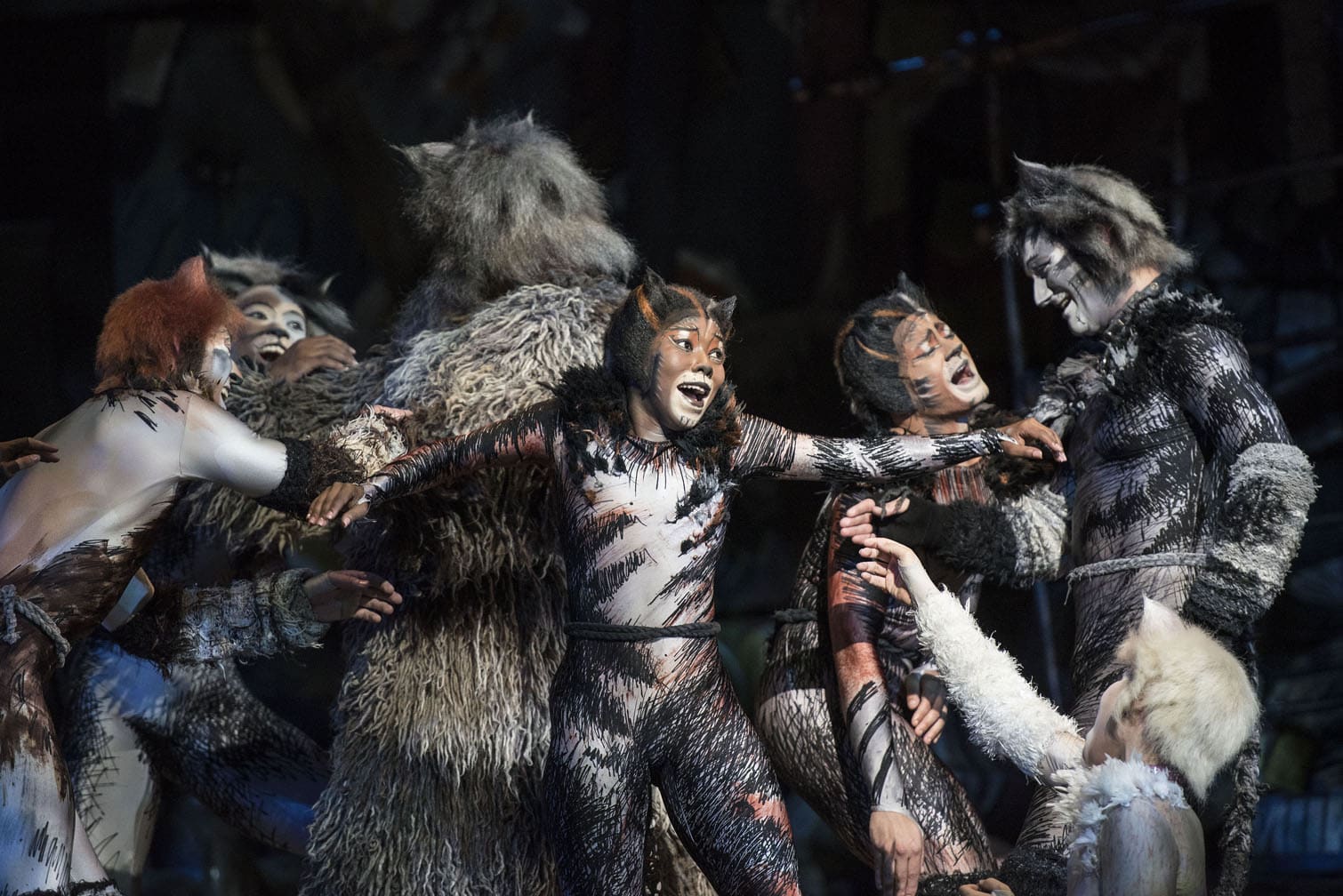 CATS the musical
