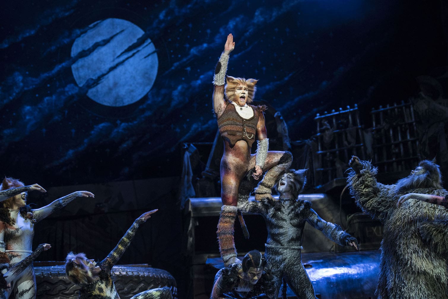CATS the musical