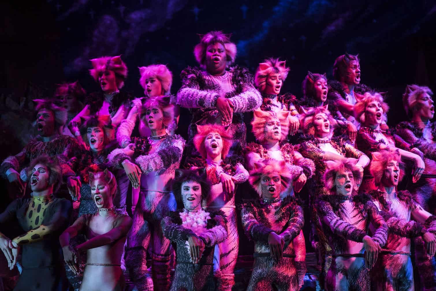 CATS the musical