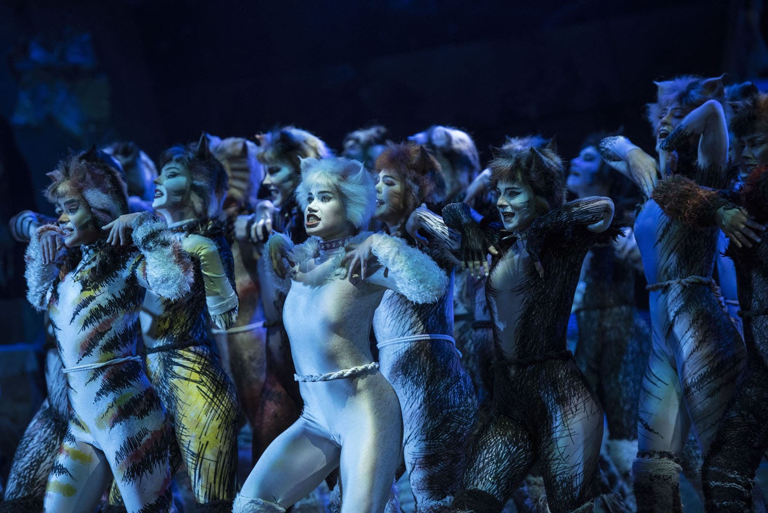 CATS the musical