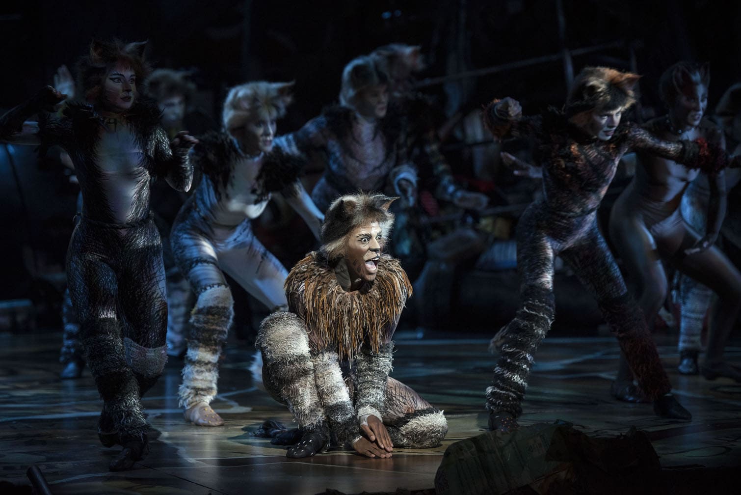 CATS the musical