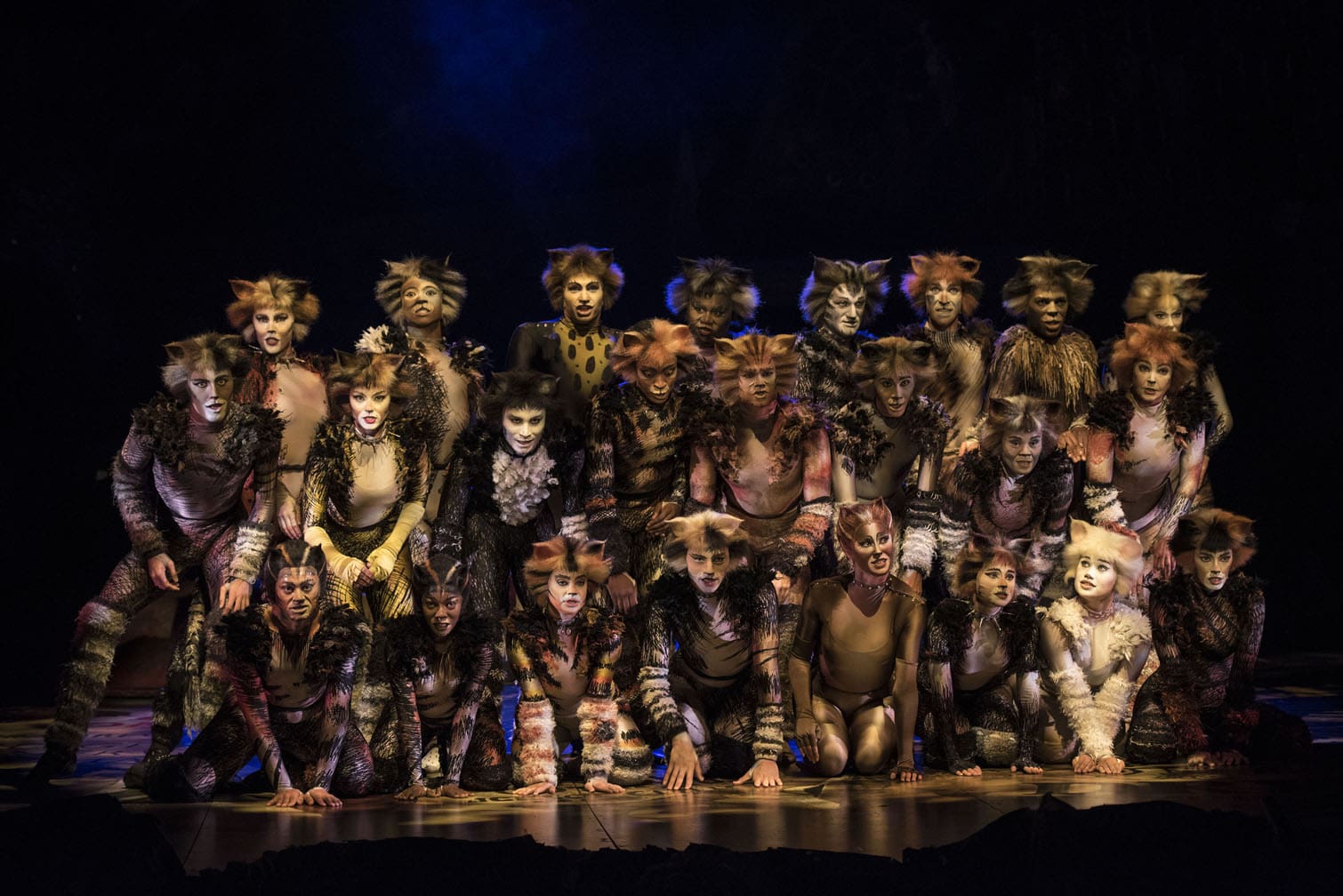 CATS the musical