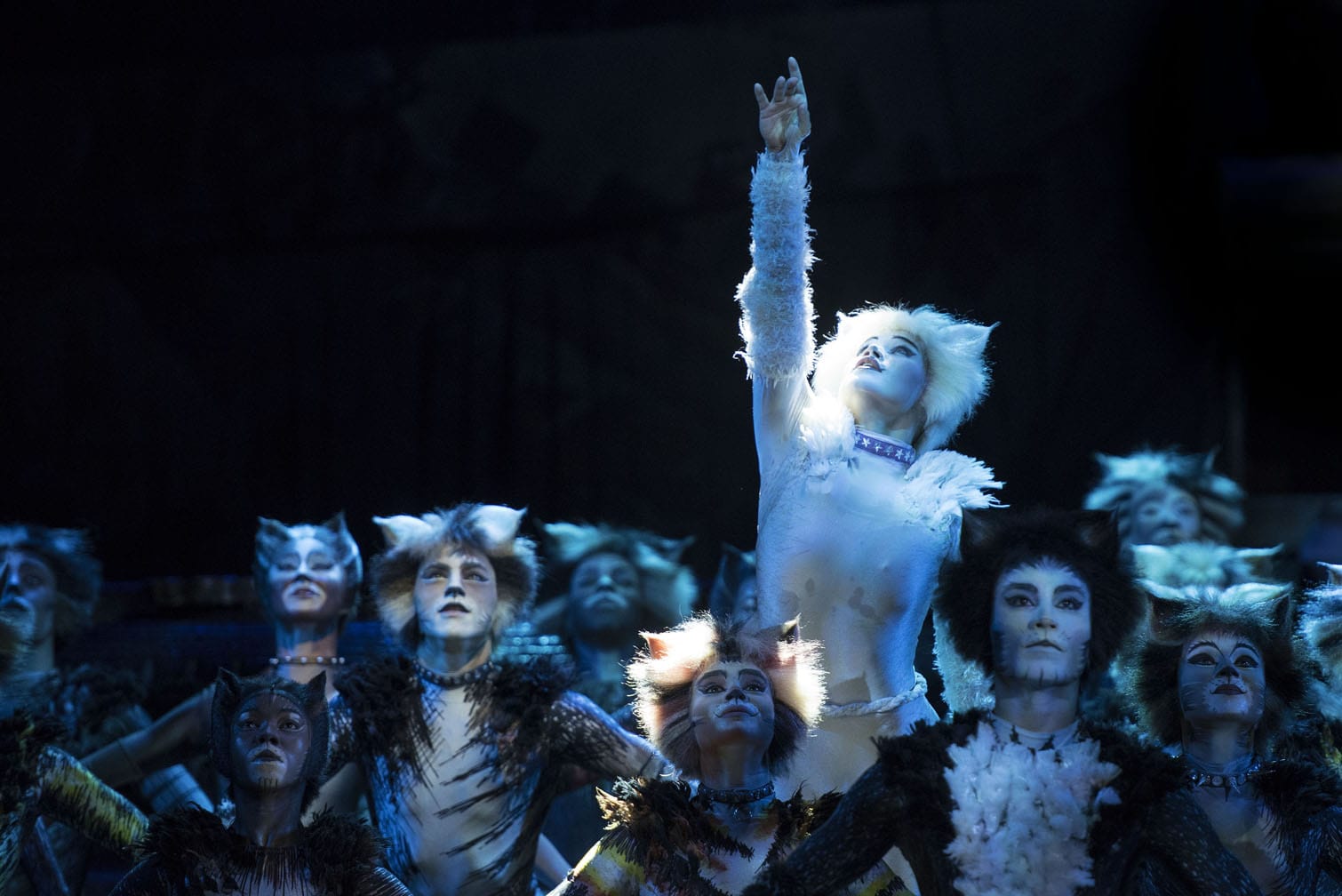 CATS the musical