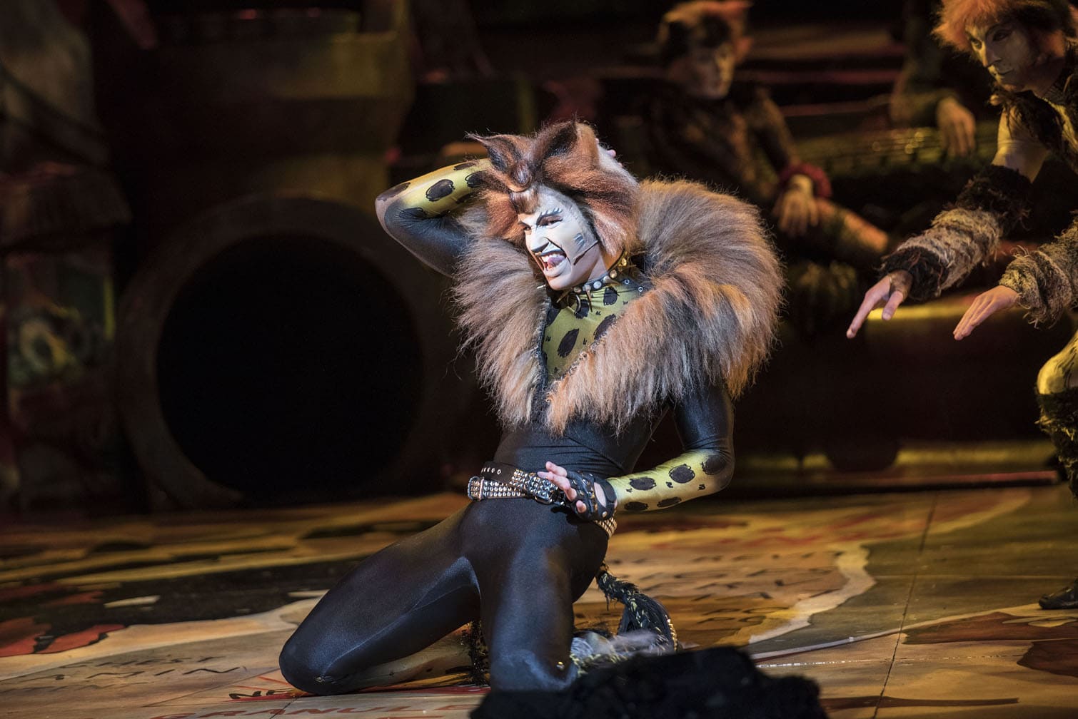 CATS the musical