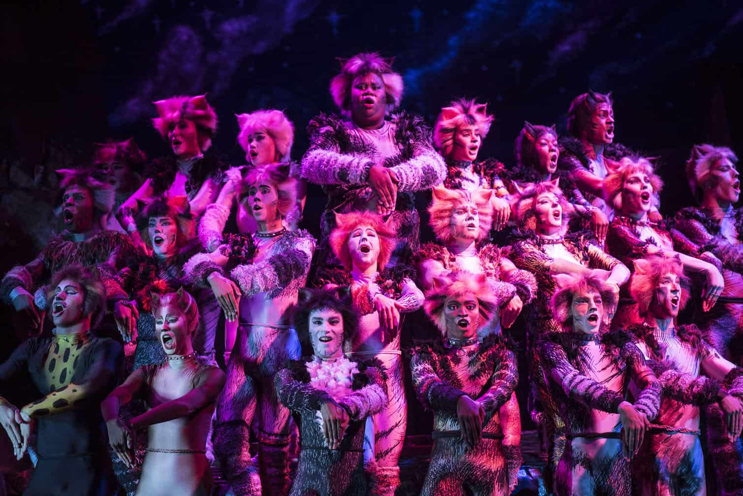 The cast of Andrew Lloyd Webber’s musical CATS