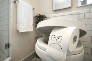 Gremlins of flushing.