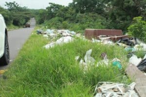 Some of the waste dumped illegally alongside Rudloff Road.