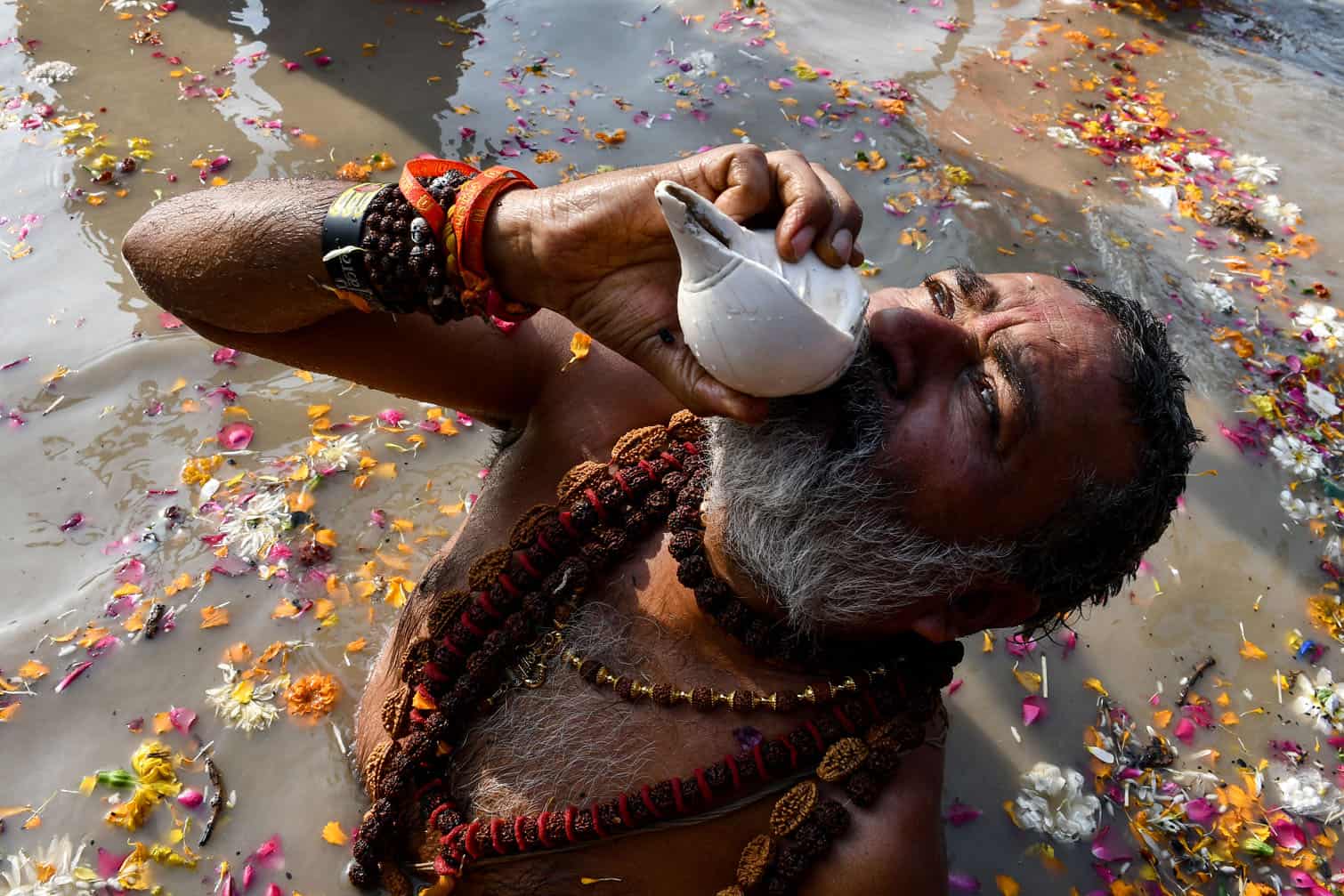 A Sadhu or a Hindu holy man blows a conch shell