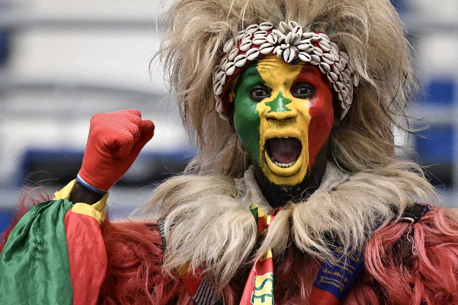 A Senegal supporter