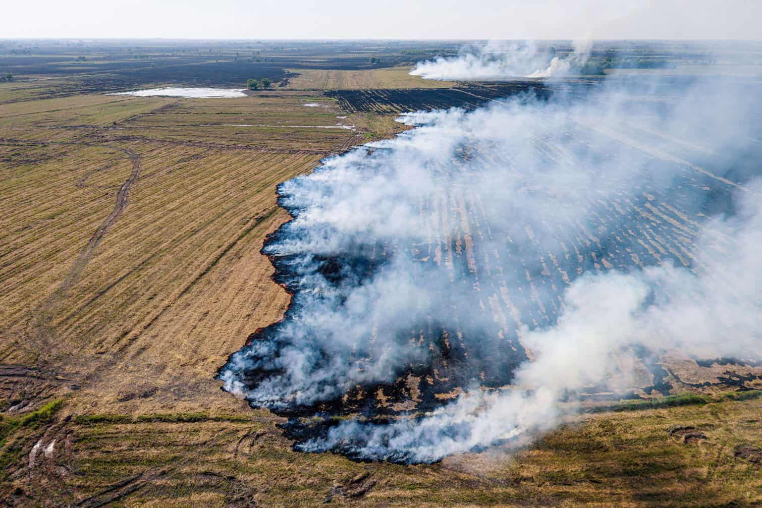 a burning field in Nakhon Nayok province