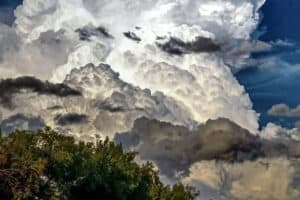 A tornado tore through a farm near Middelburg.