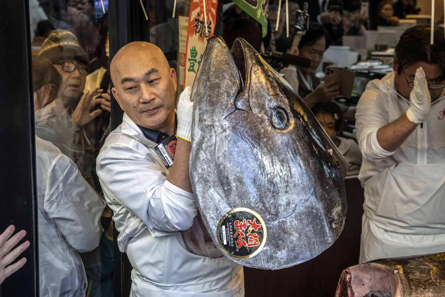 A member of staff holds up a head of a 243-kilogram bluefin tuna