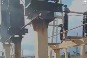 Swarm of bees in three electricity pylons hamper Eskom in restoring power to Lenasia South