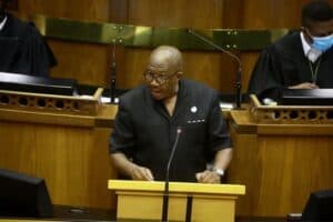 Mlindi Nhanha NPA appeal DA MP