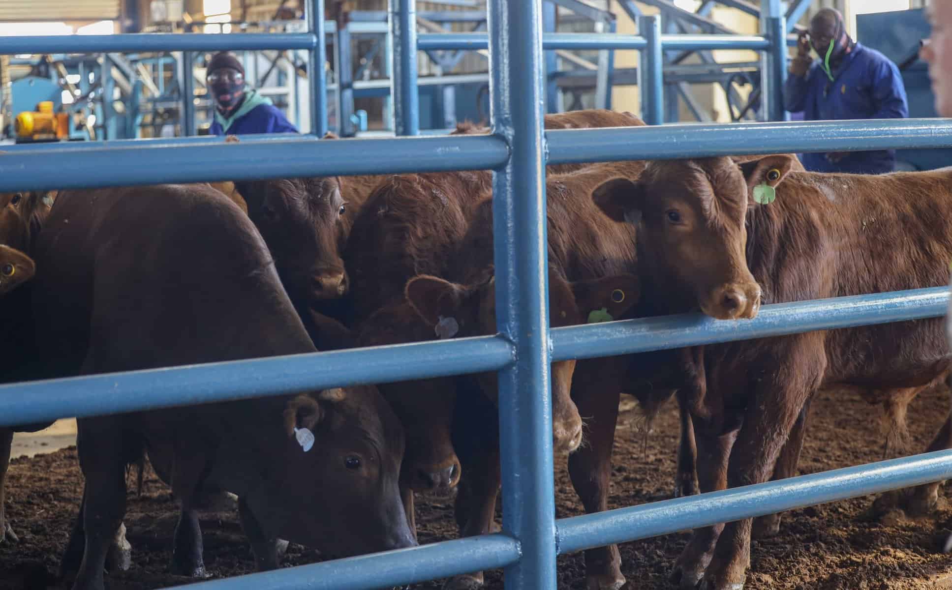 Sorry! Image not available at this time