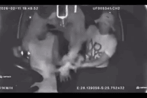 Gauteng police probe video depicting alleged car-seat murder