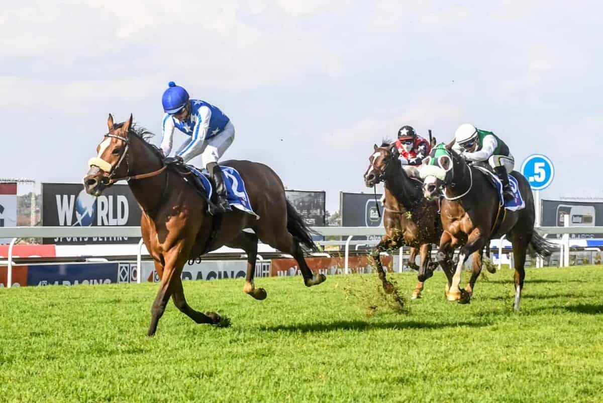 Handicappers get a Guineas slap-down | The Citizen