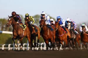 General horse racing picture