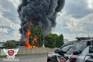 ICYMI 19 February 2026