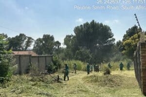 JCPZ teams in Johannesburg South cut grass and prune trees.