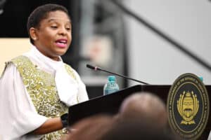 Education, Energy, Home Affairs quotes from 2026 Sona debate.