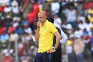 Miguel Cardoso - Mamelodi Sundowns
