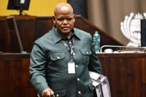 Khomotso Phahlane ad hoc committee