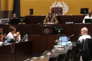 Mkhwanazi ad hoc committee