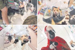 Pets take the lead in groundbreaking TV ad