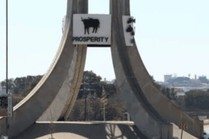 ‘Municipalities have money, it’s the comrades who fail us’ – Outa