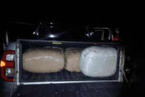 Limpopo police seize R2.6m dagga haul after suspects flee into bush
