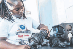 Sidelined motor industry union to submit recommendations to parliament