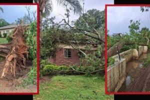 Hail and extreme winds left devastation in Croc Valley.