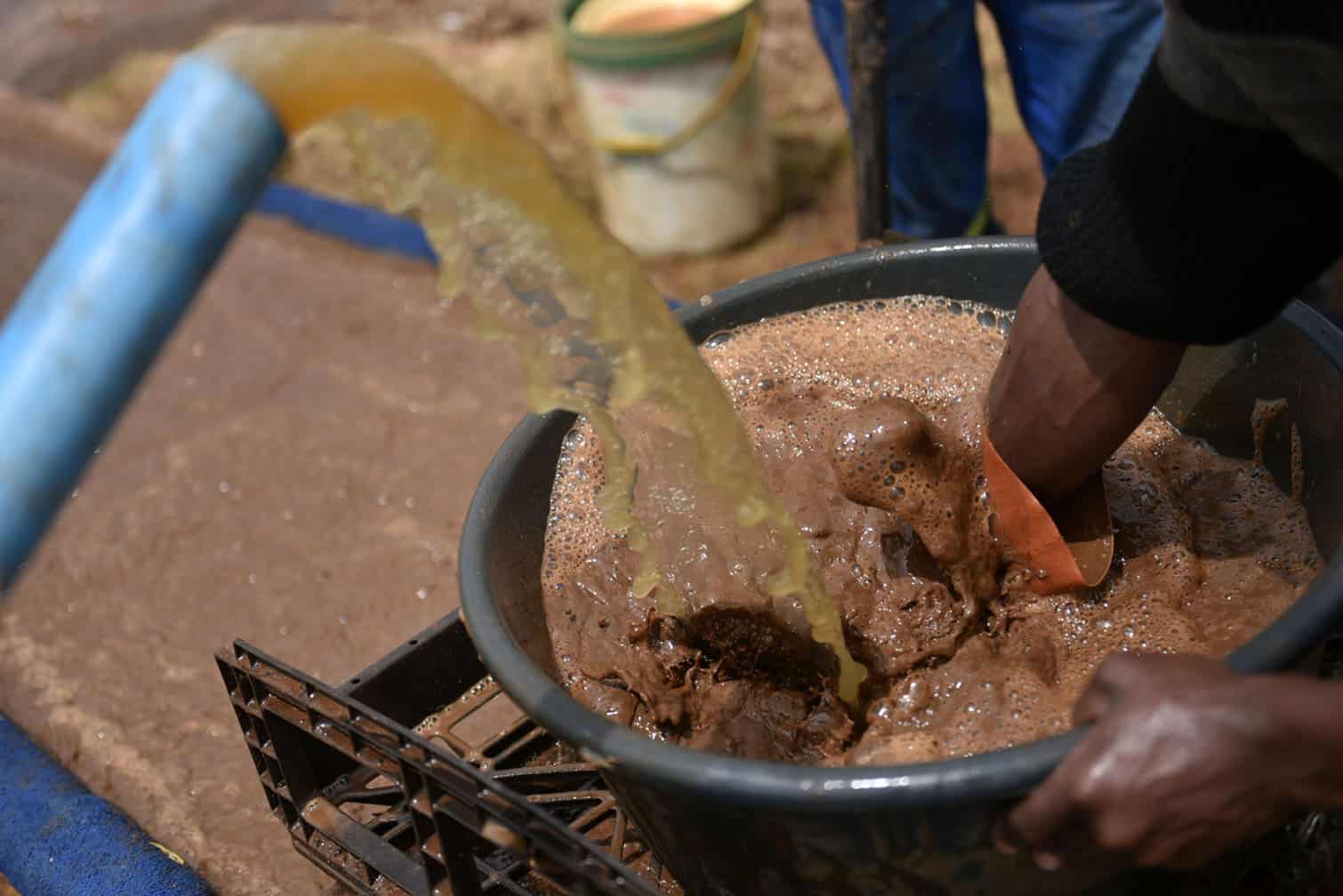 Panning for gold in Springs
