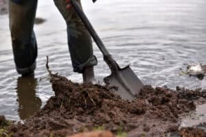 Panning for gold in Springs