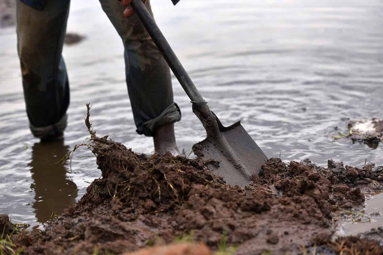 Panning for gold in Springs