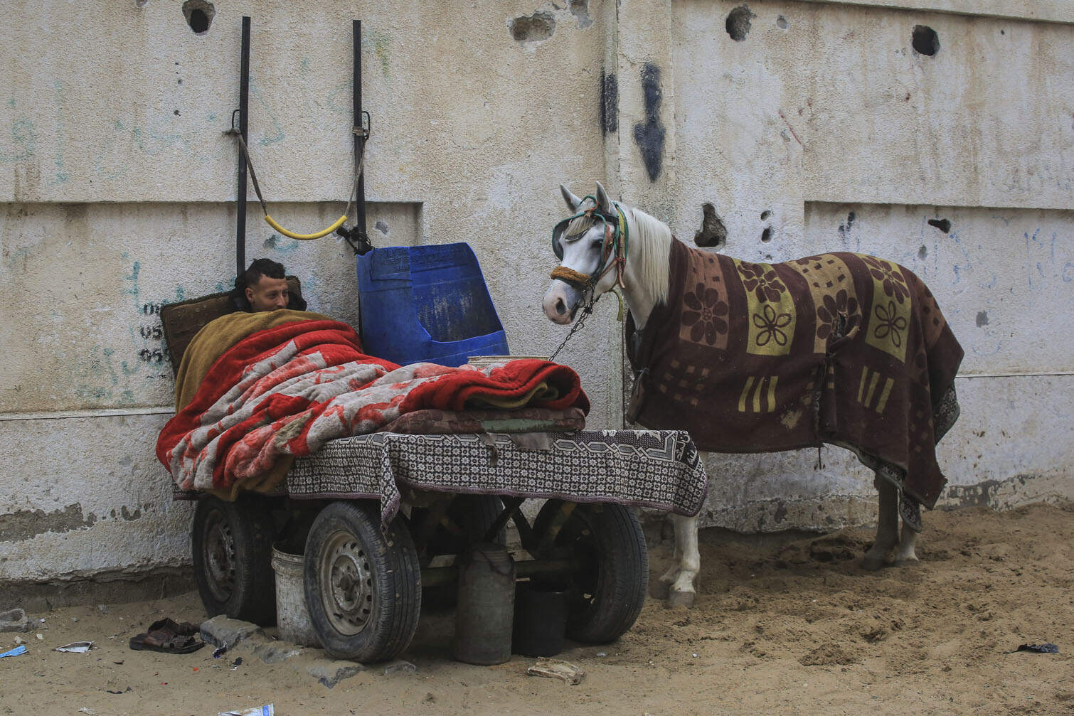 A Palestinian man sleeps next to his horse