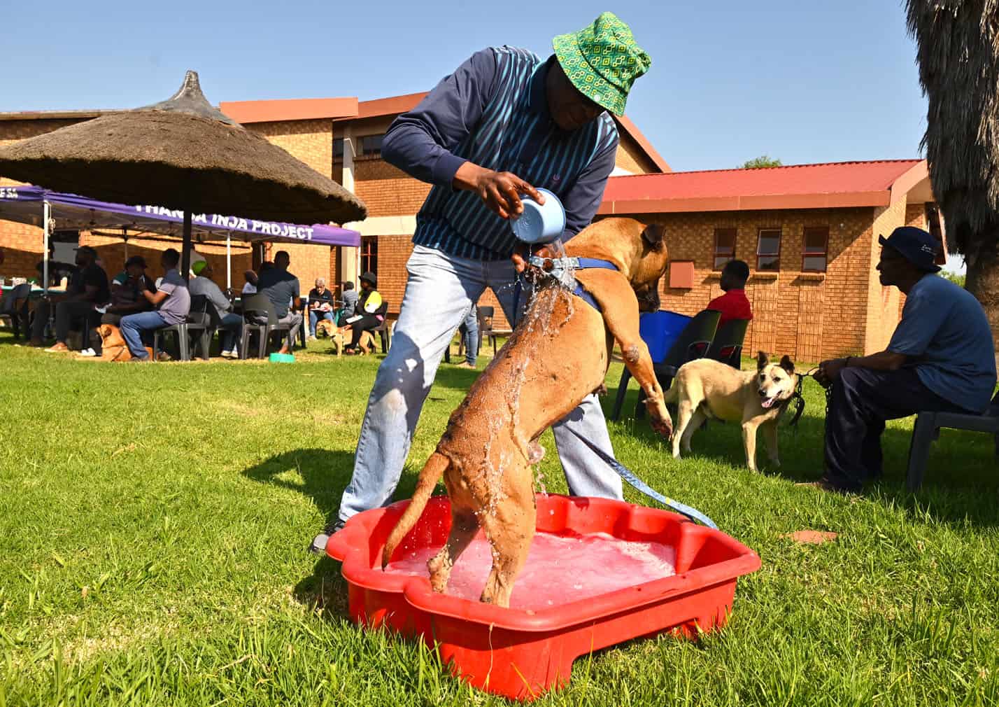 The Thanda Inja (Love Dogs in isiZulu) project