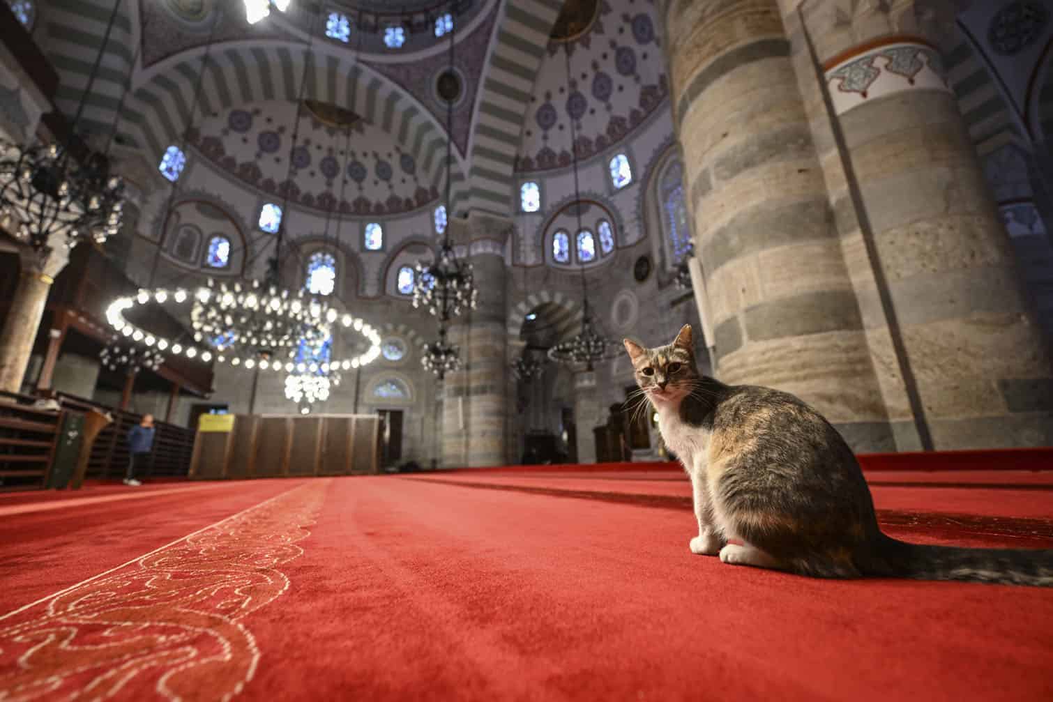 Mihrimah Sultan Mosque