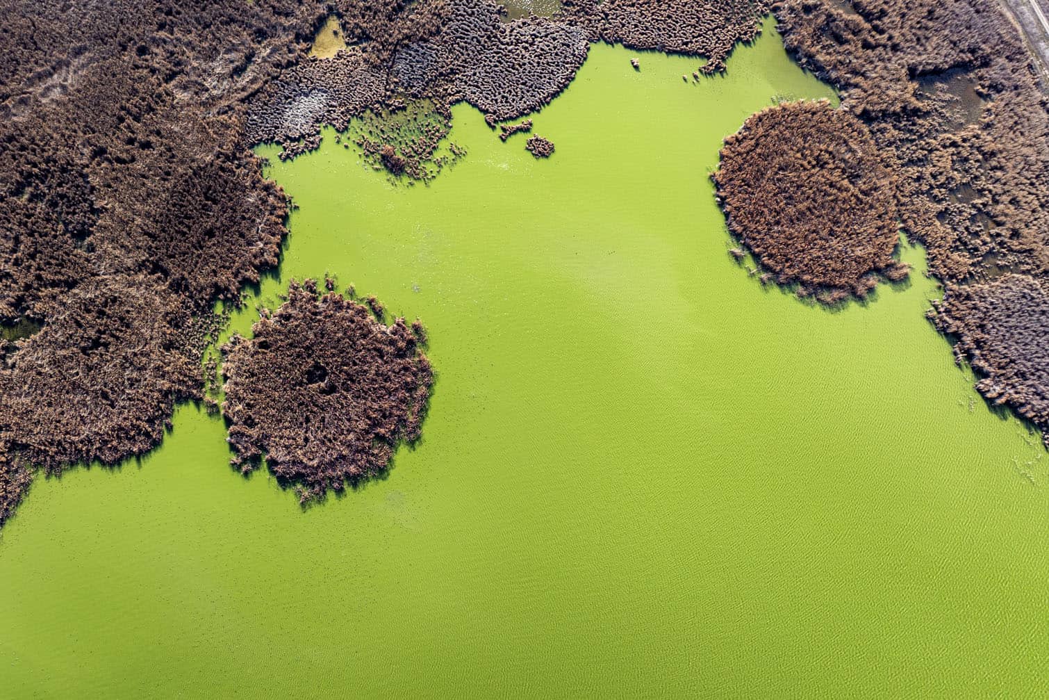 Drought hits wetlands in Ankara