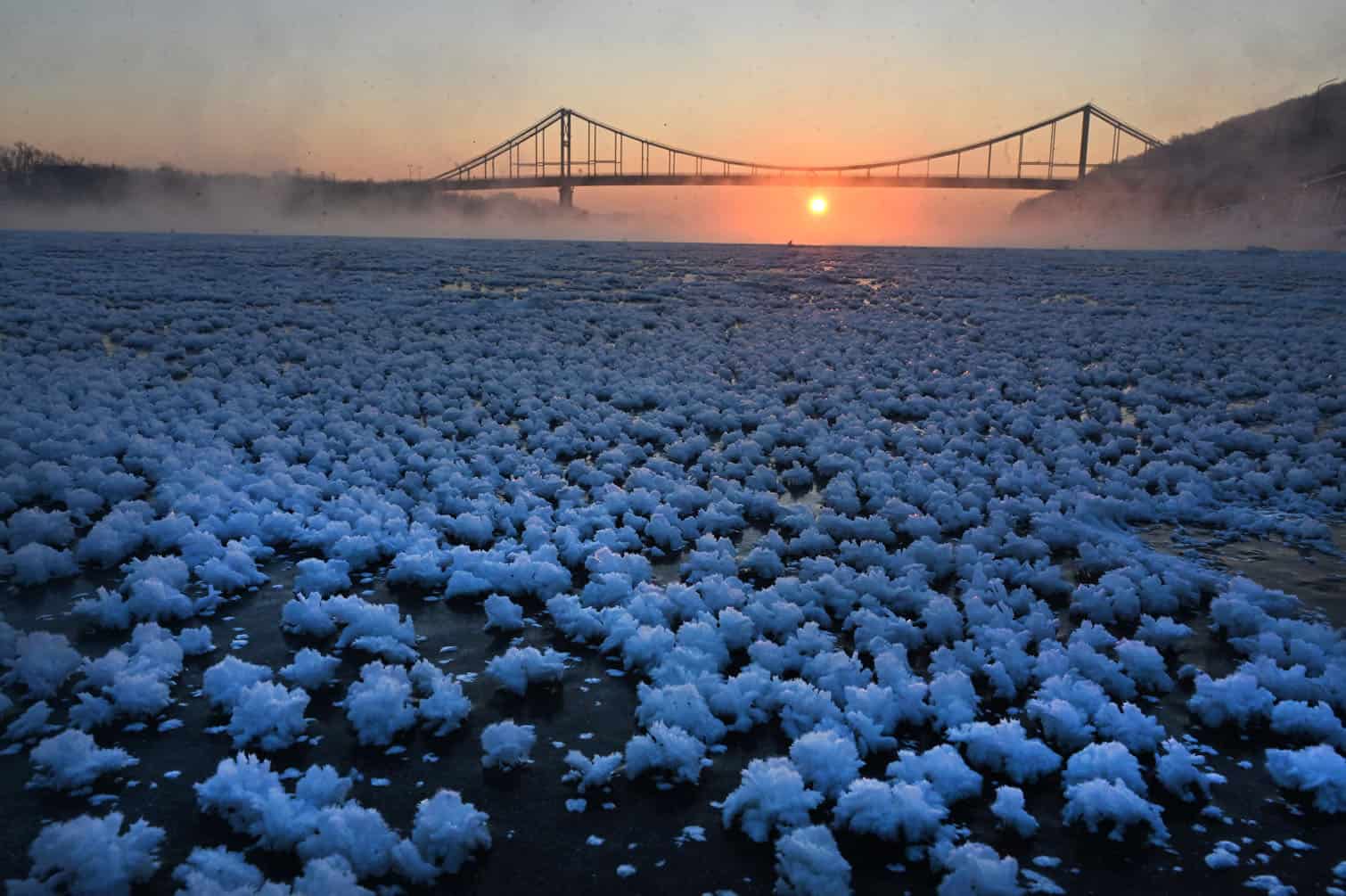 This photograph shows so called Ice Flowers