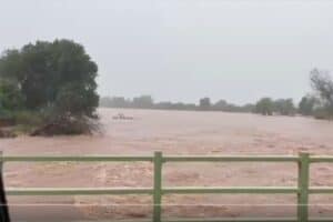 Travel warning: Floods shut Pafuri, Giriyondo border posts between SA and Mozambique [VIDEOS]