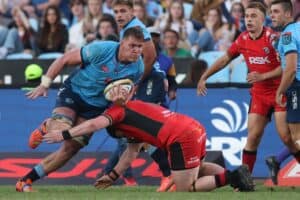 Bulls lock Cobus Wiese