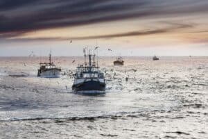 Four Chinese-flagged fishing vessels intercepted after entering SA waters without authorisation