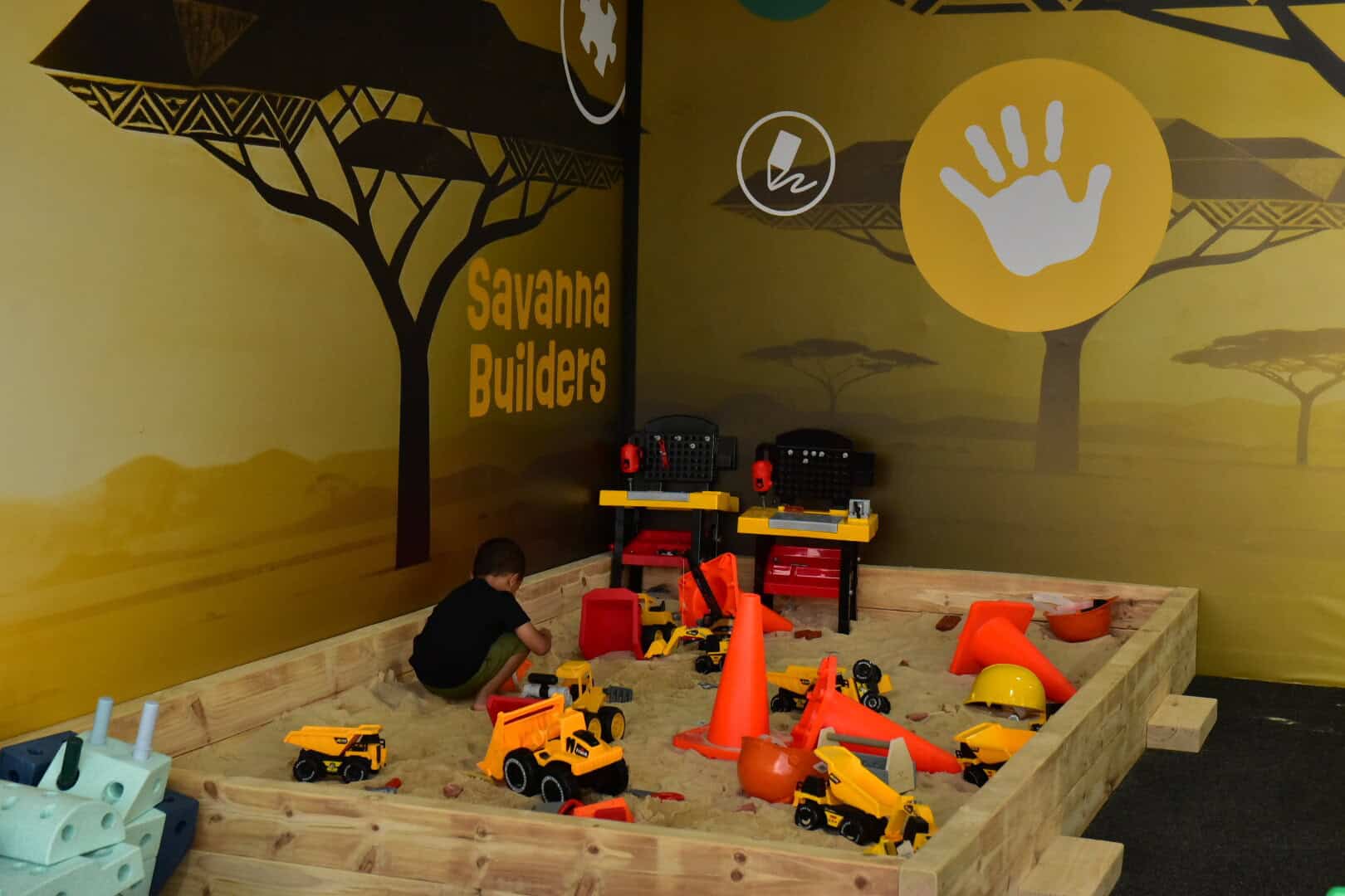 Photo de Shaun Holland 